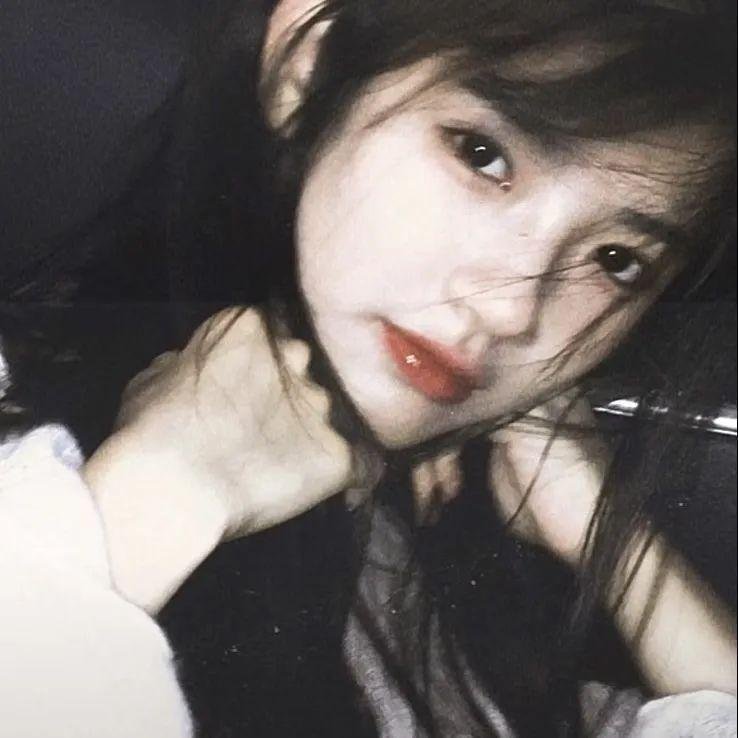 小狗波图
