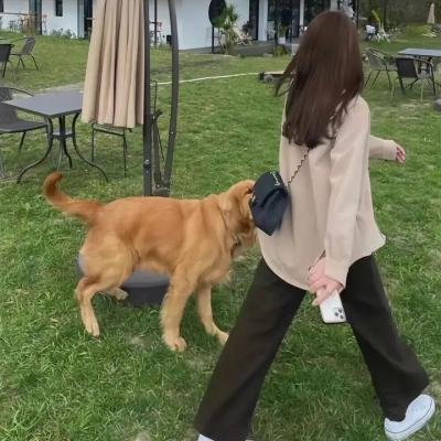 一场大火之后
